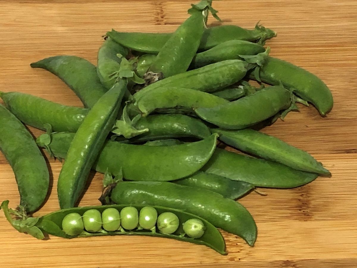 Peas Greenfeast (Shelling) Seeds